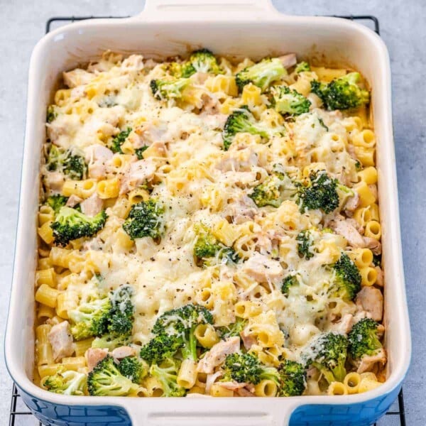 alfredo baked in a white dish with broccoli and topped with melted cheese.