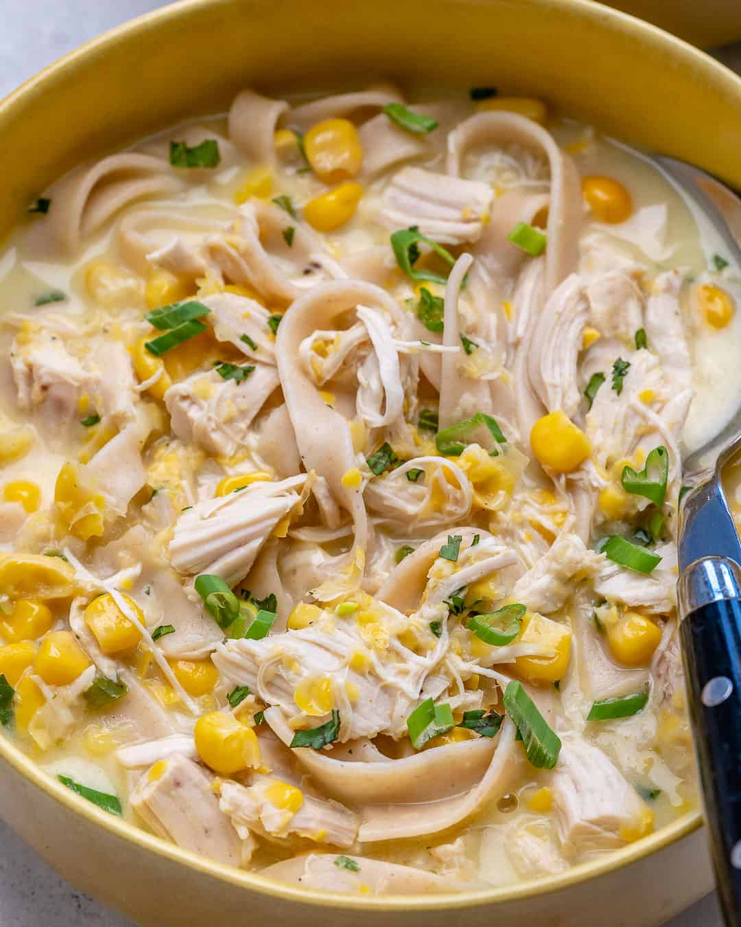 homemade chicken noodle soup