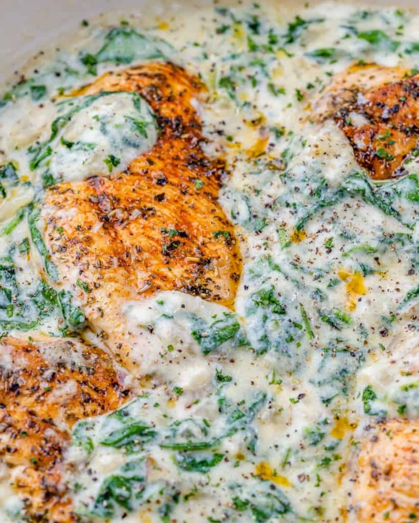 close up chicken in creamy sauce